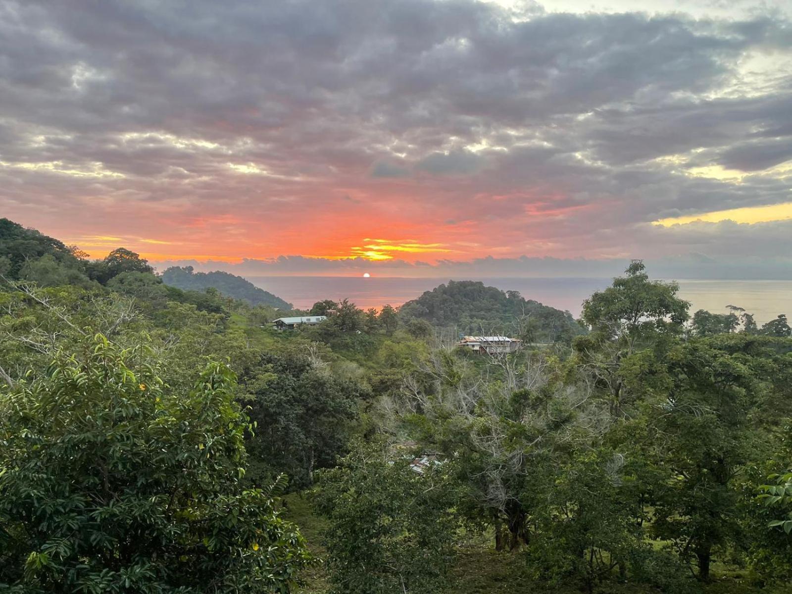 Pura Natura Lodge 曼努埃尔安东尼奥 外观 照片